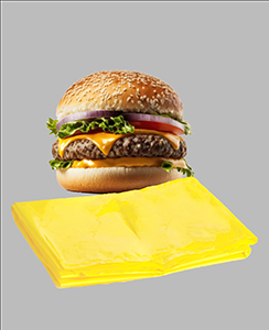 3-funda-con-hamburguesa