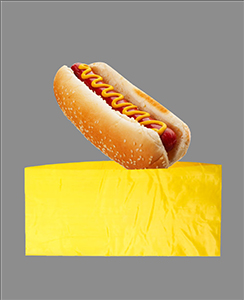 5-funda-con-hod-dog